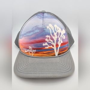 Patagonia Joshua Tree Hat